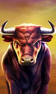 Black Bull
